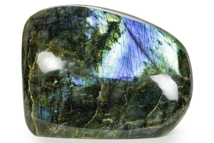 Flashy Free-Standing Polished Labradorite - Madagascar #364191
